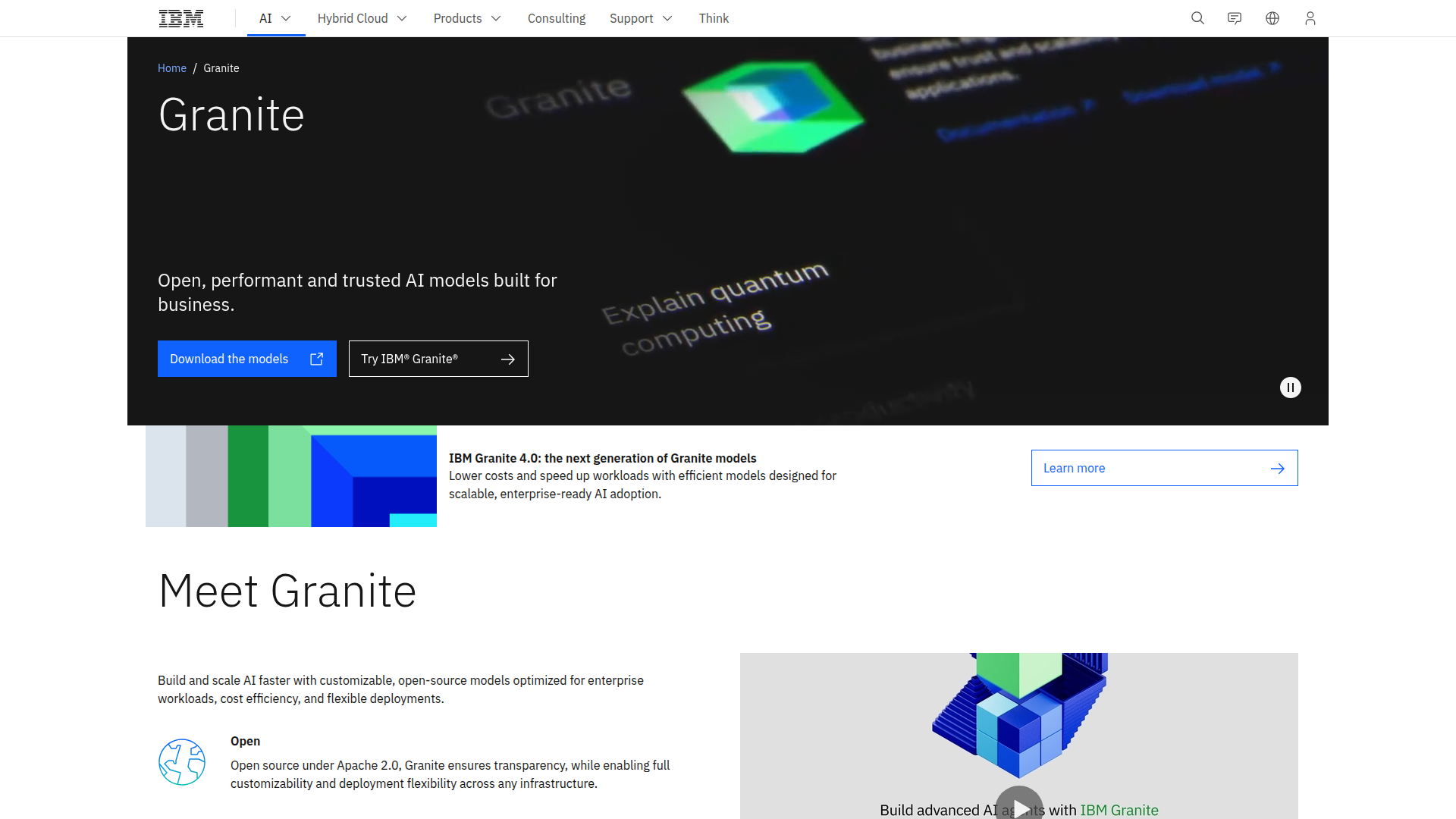 IBM Granite screenshot 1