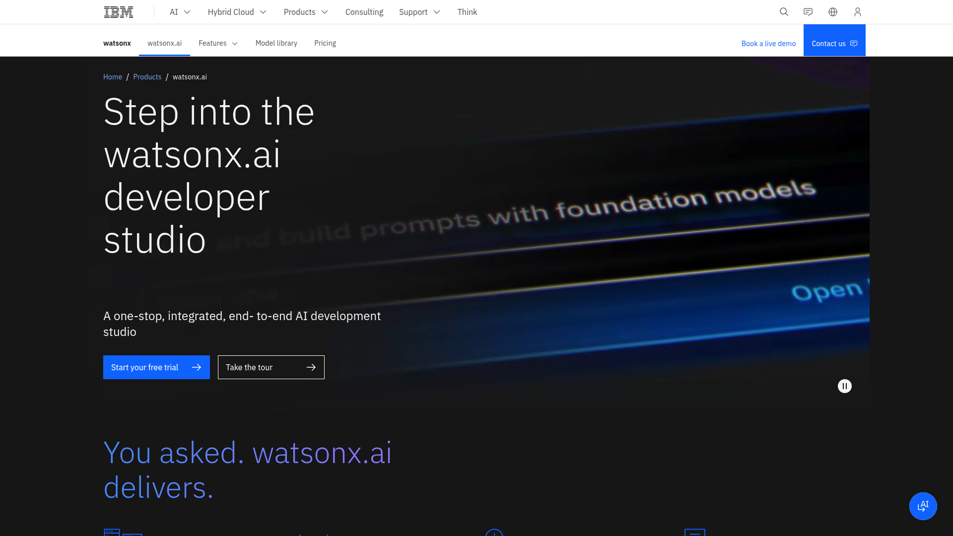 IBM watsonx.ai screenshot 1